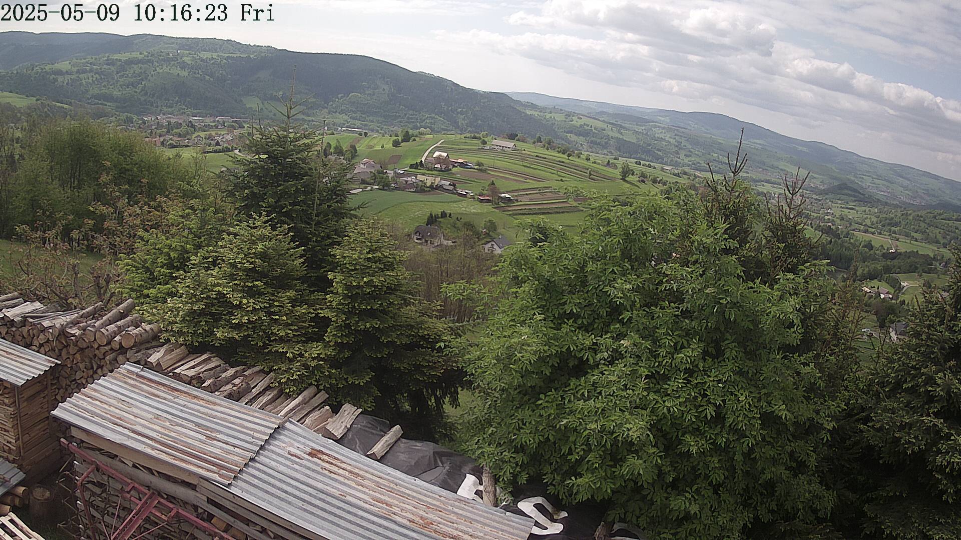 ip camera