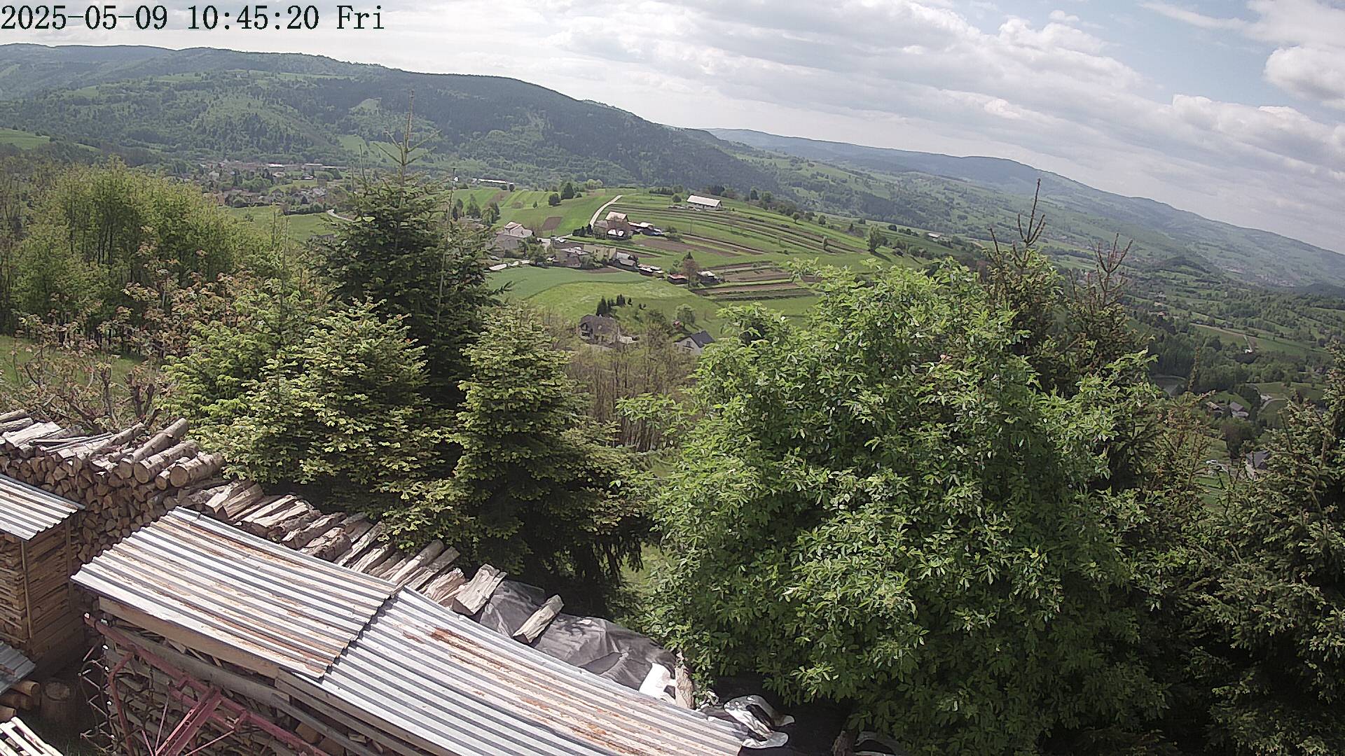 ip camera