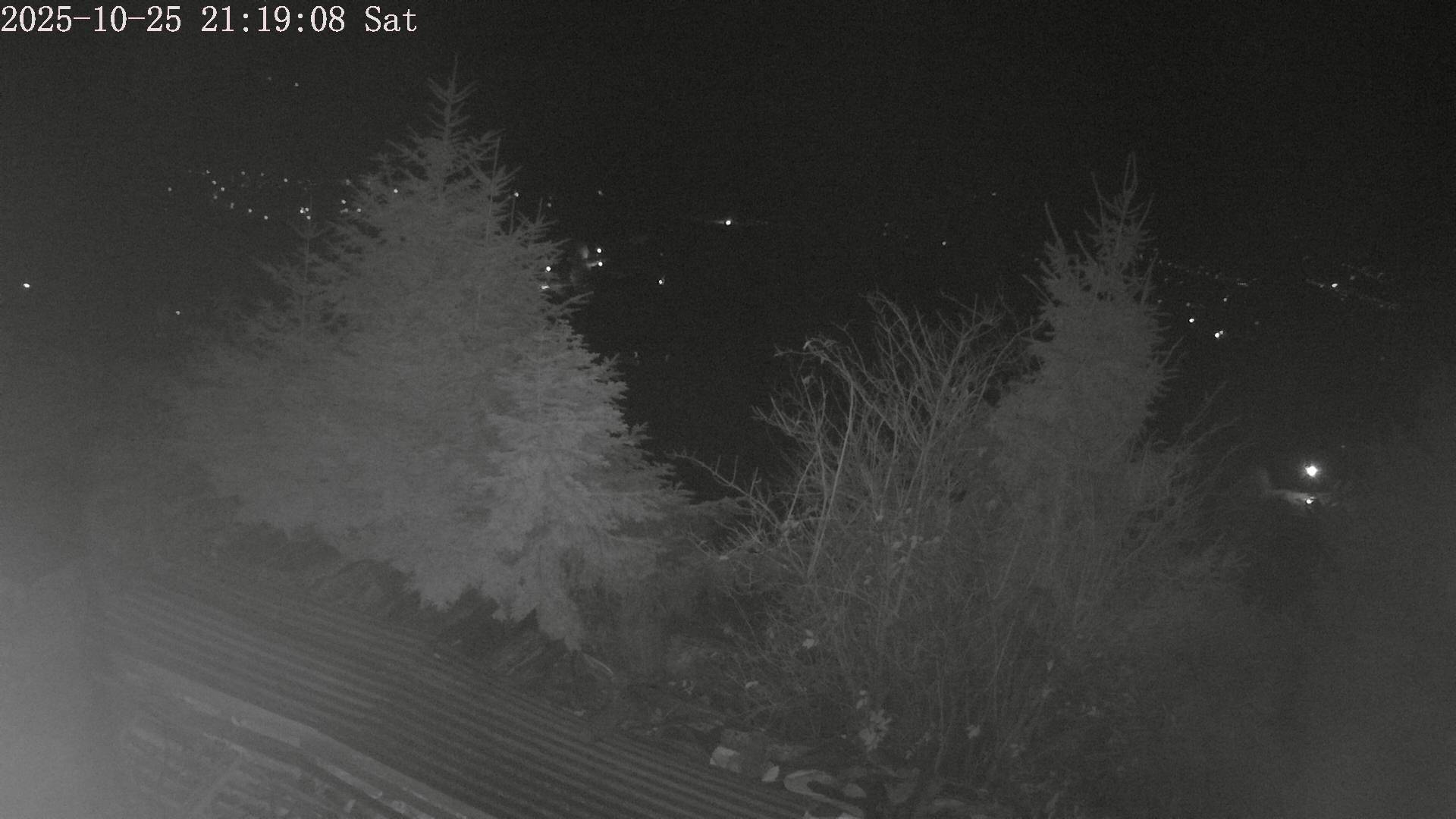 ip camera