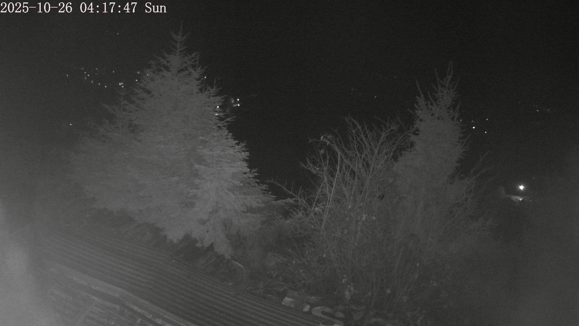 ip camera