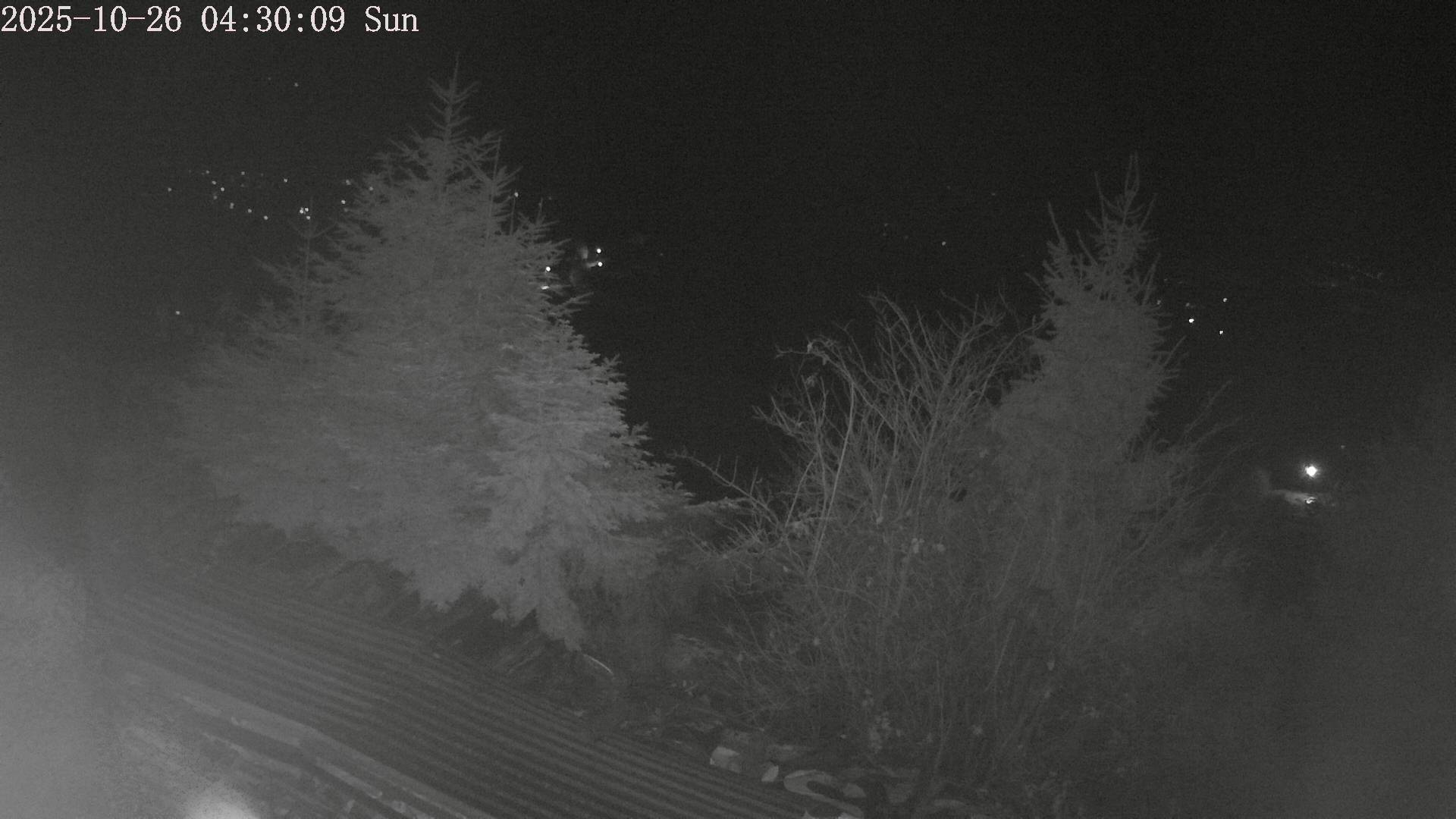 ip camera