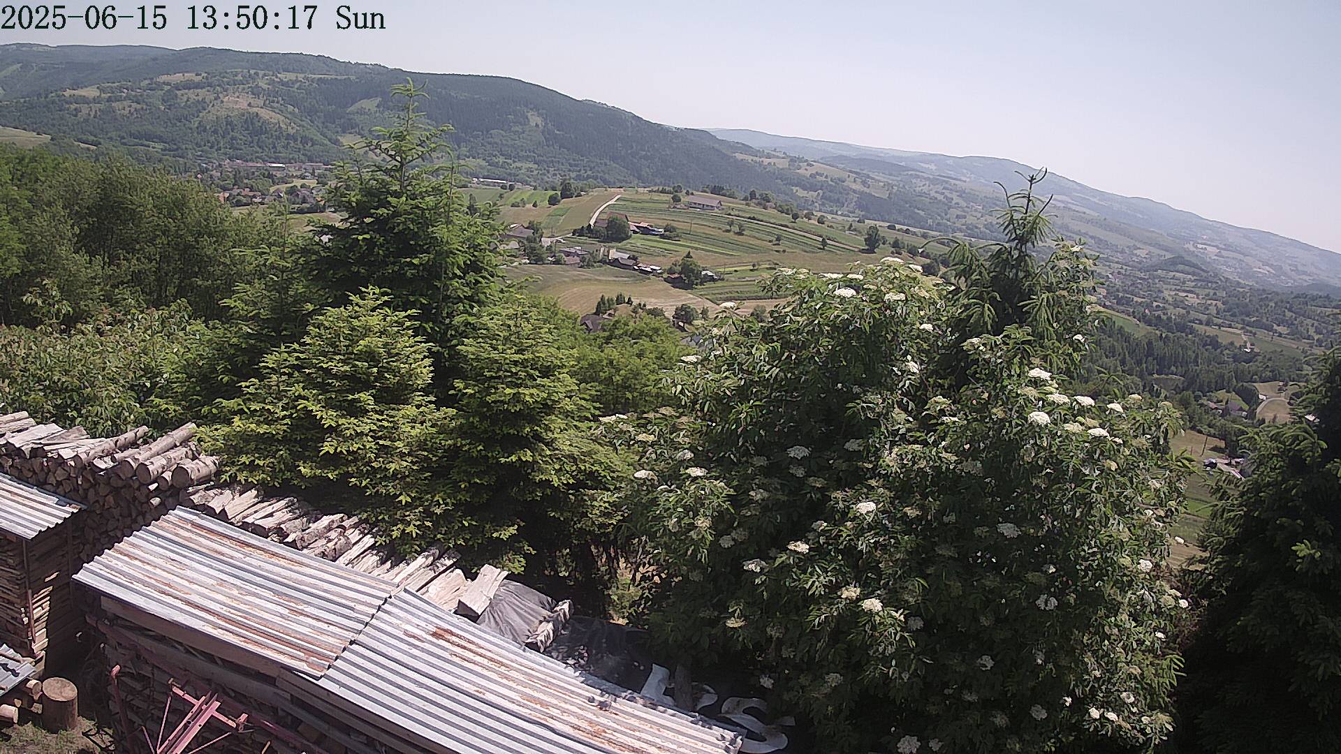 ip camera