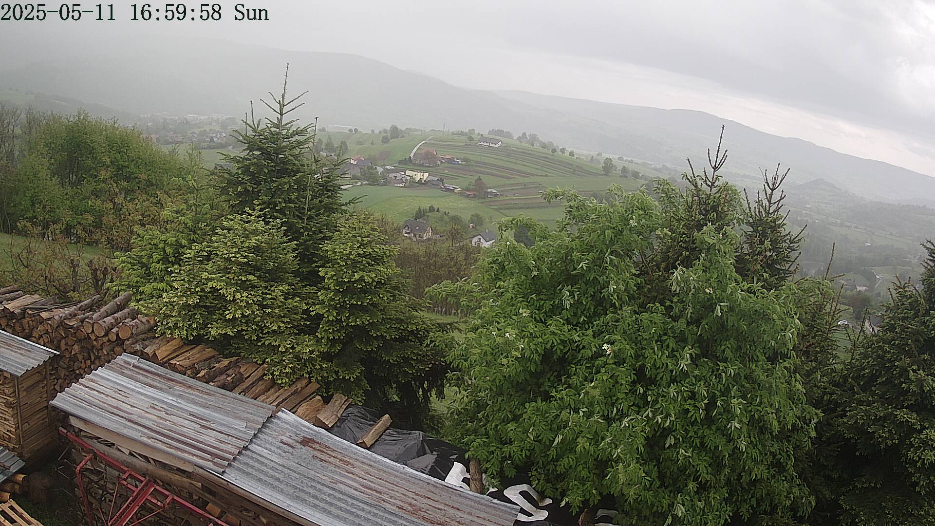 ip camera