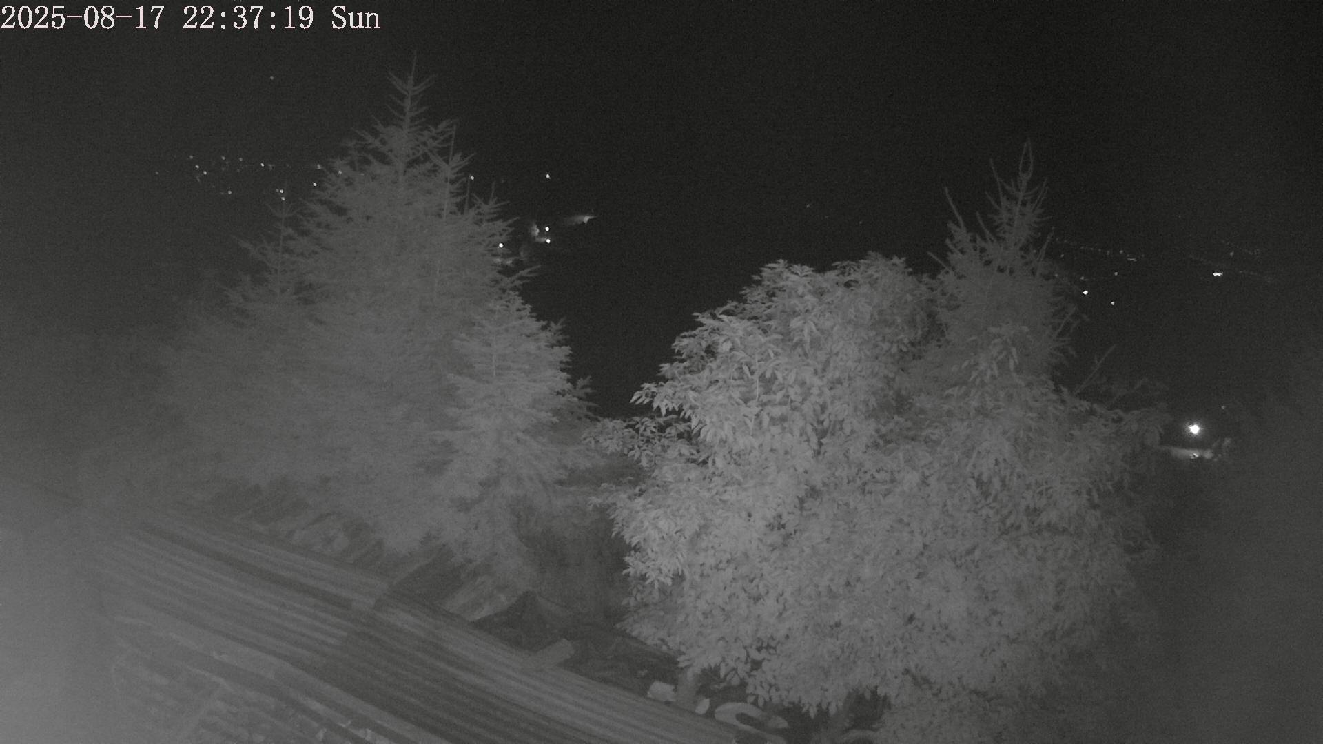 ip camera