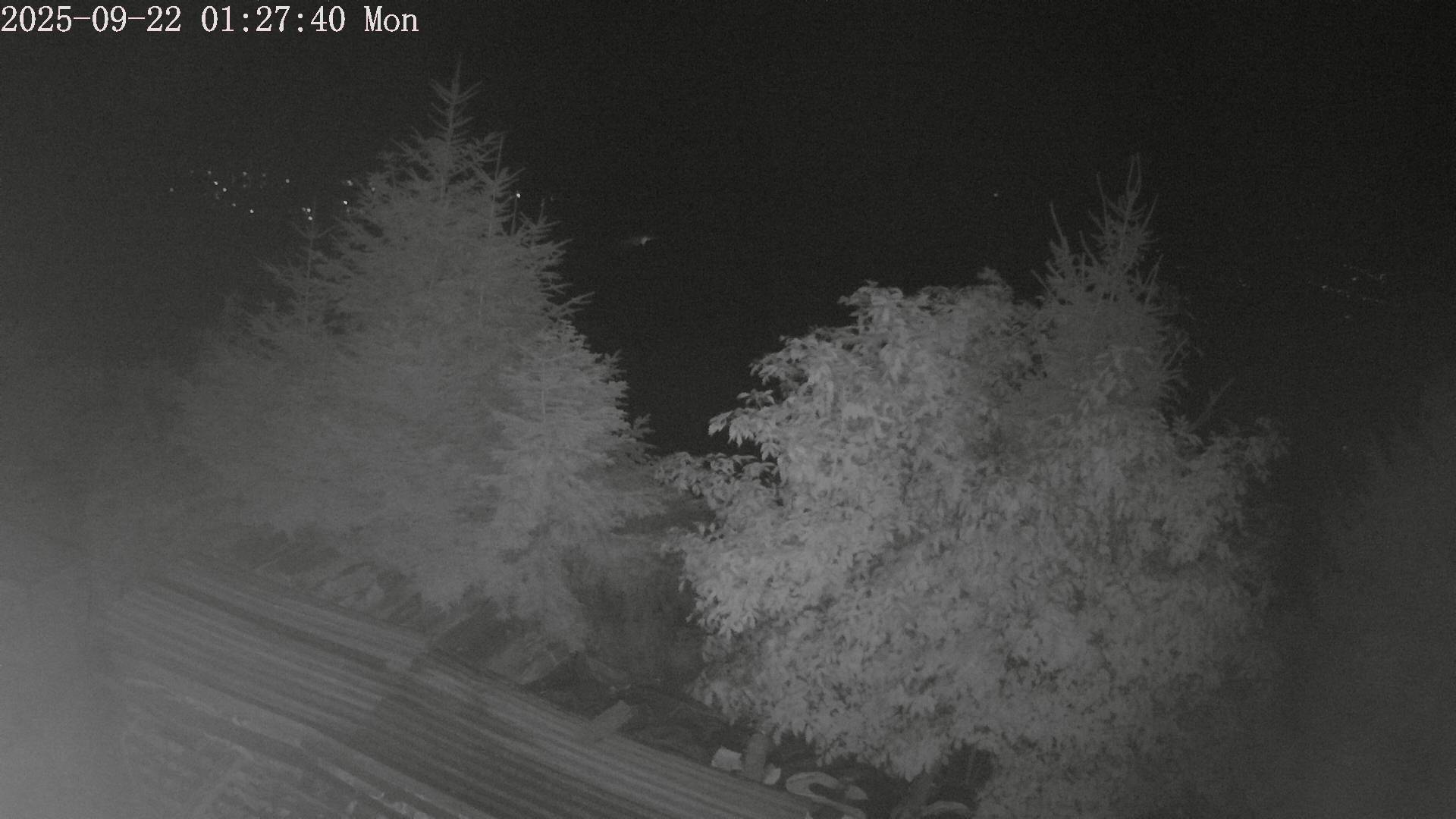 ip camera