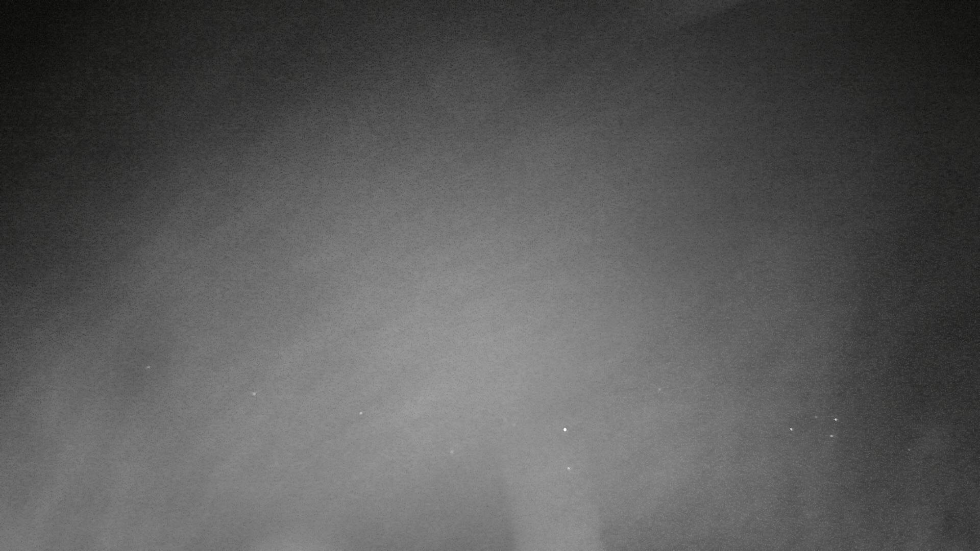ip camera