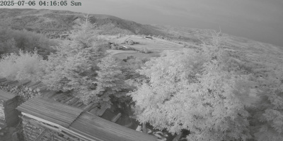 ip camera
