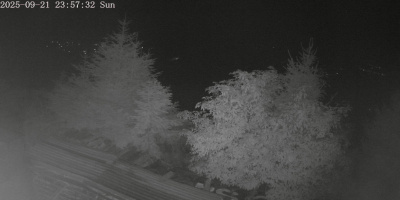 ip camera