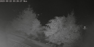 ip camera
