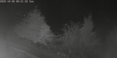 ip camera