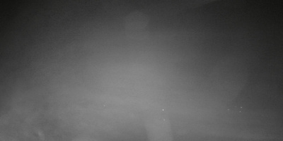 ip camera